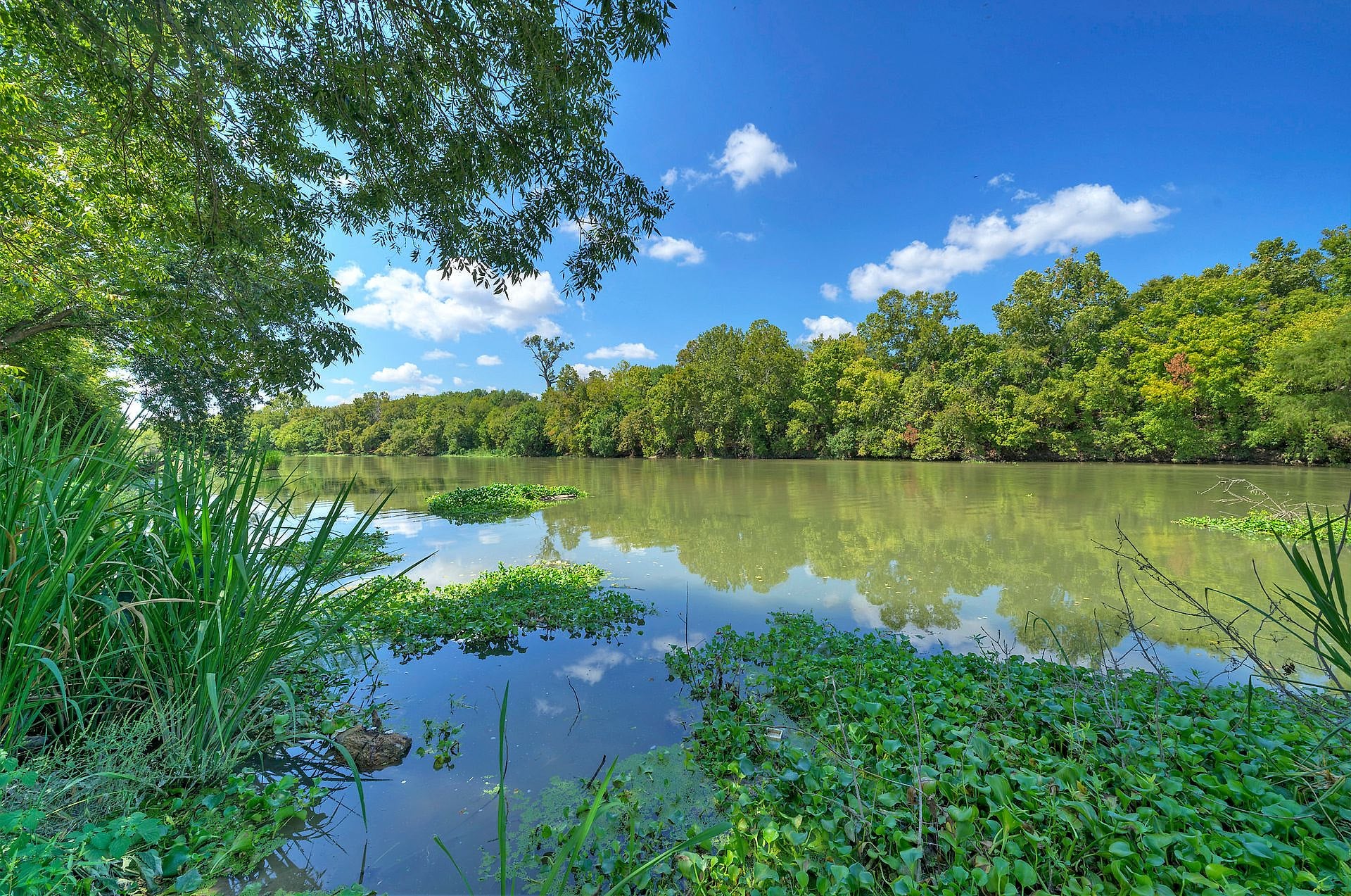 Wide view of the calm Colorado River at River Bend Bliss
