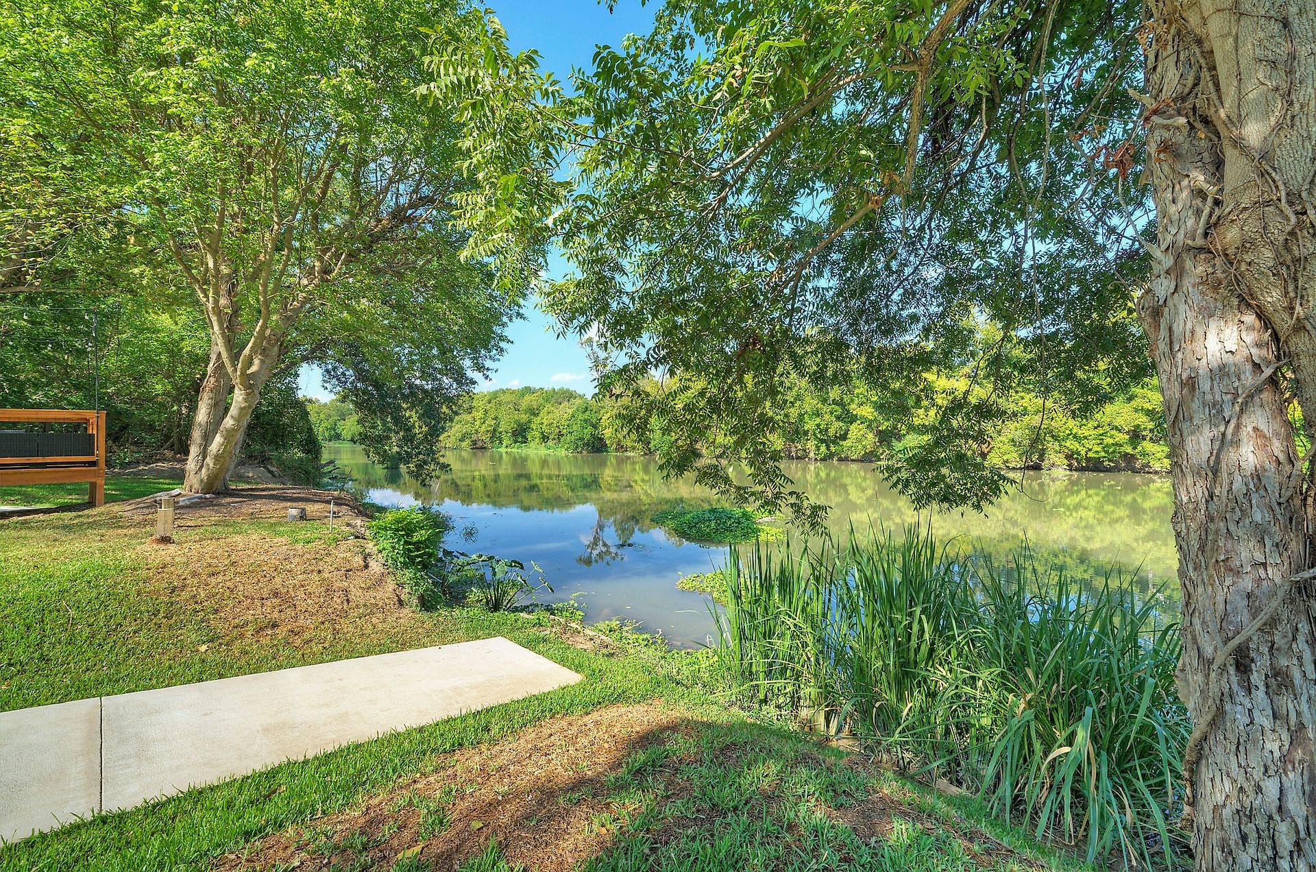 Colorado River shoreline with tall grass and shade trees at River Bend Bliss